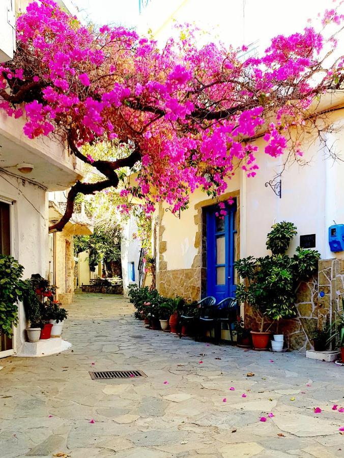 Ville Du Soleil - Exclusive Homes With Rustic Charm And Sensational Views Of The Mediterranean Sea Makrýgialos エクステリア 写真